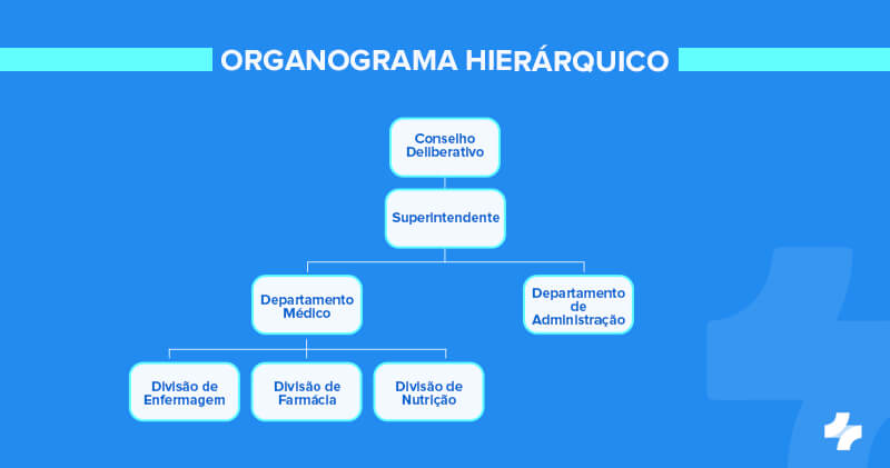 organograma hierarquico clinica medica